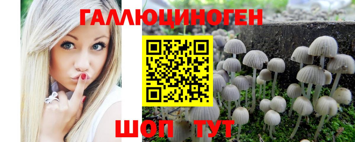 сколько стоит  Галлюциногенные грибы MAGIC MUSHROOMS  Вход с VPN  Реж 